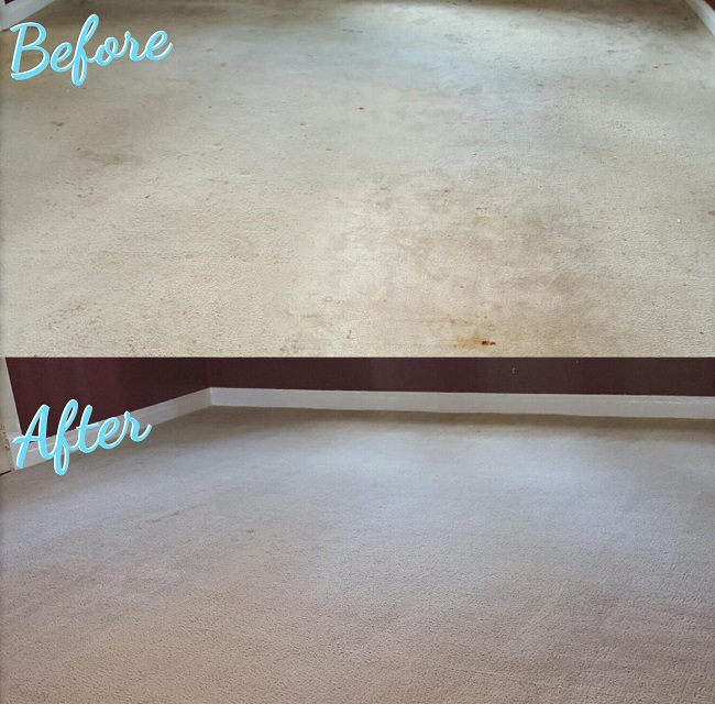 Carpet Cleaners Mobile Al Cleaning Company Nurse S Touch Services
